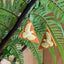 Tania Tupu large earrings cream Kea with orange base