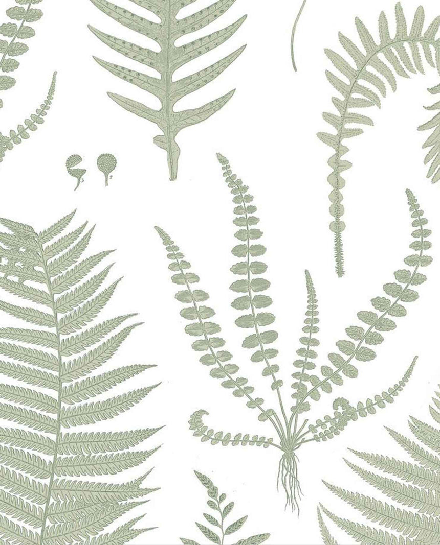 Cotton Napkin NZ Ferns